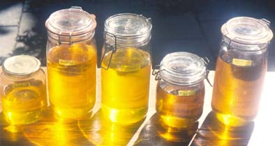 Auszüge von Kräutern in Öl nennt man Mazerate